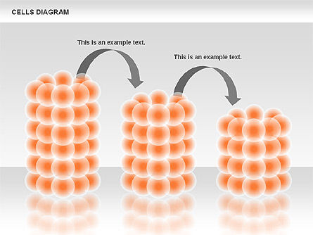 Diagramme des cellules, Diapositive 4, 00705, Modèles commerciaux — PoweredTemplate.com