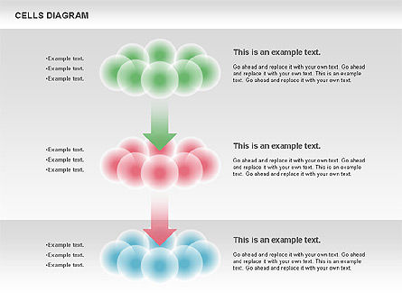 Cells Diagram, Slide 5, 00705, Business Models — PoweredTemplate.com