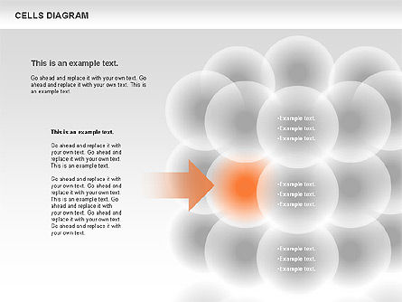 Diagramme des cellules, Diapositive 7, 00705, Modèles commerciaux — PoweredTemplate.com