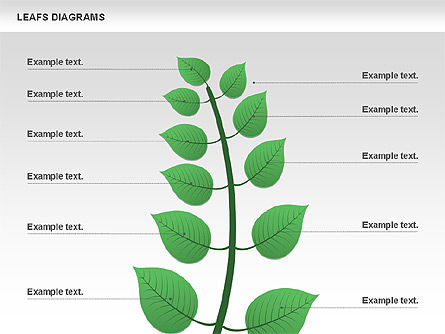 Leafs diagram, PowerPoint-sjabloon, 00707, Stage diagrams — PoweredTemplate.com