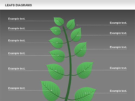 Diagrama de hojas, Diapositiva 11, 00707, Diagramas de la etapa — PoweredTemplate.com