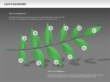 Diagrama de hojas, Diapositiva 12, 00707, Diagramas de la etapa — PoweredTemplate.com