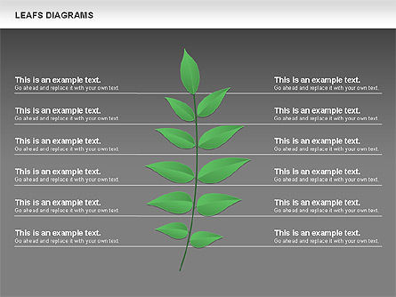 Diagrama de hojas, Diapositiva 13, 00707, Diagramas de la etapa — PoweredTemplate.com