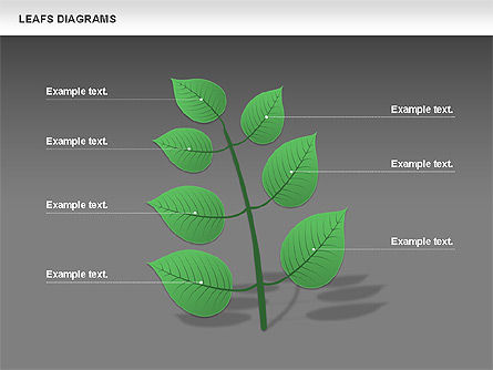 Diagrama de hojas, Diapositiva 14, 00707, Diagramas de la etapa — PoweredTemplate.com