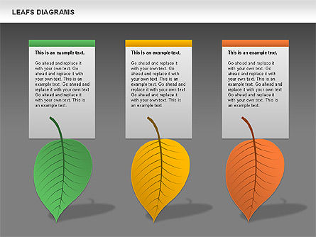 다이어그램 리프, 슬라이드 15, 00707, 단계 도표 — PoweredTemplate.com