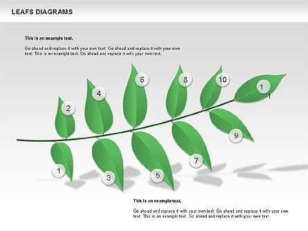 Diagramme des feuilles, Diapositive 2, 00707, Schémas d'étapes — PoweredTemplate.com