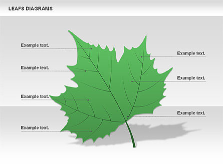 Diagrama de hojas, Diapositiva 8, 00707, Diagramas de la etapa — PoweredTemplate.com