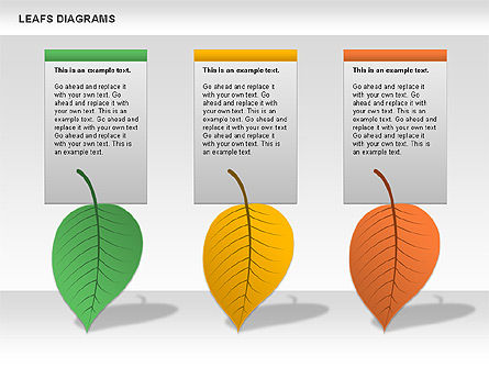 Diagramme des feuilles, Diapositive 9, 00707, Schémas d'étapes — PoweredTemplate.com