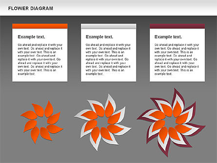 Diagramme des fleurs, Diapositive 16, 00885, Modèles commerciaux — PoweredTemplate.com
