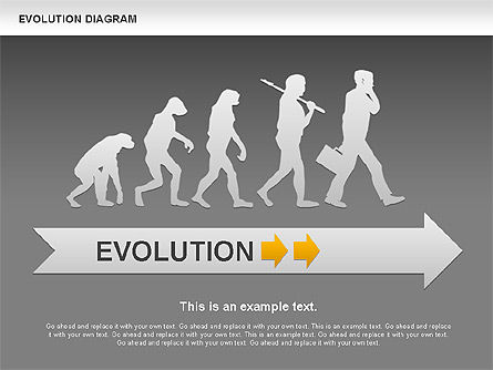 진화 다이어그램, 슬라이드 14, 00934, 교육 차트 및 도표 — PoweredTemplate.com