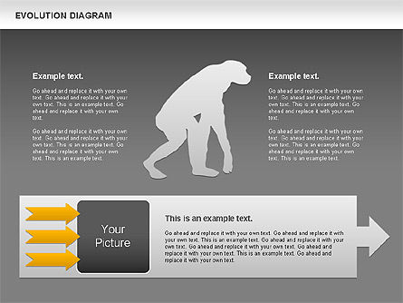 진화 다이어그램, 슬라이드 15, 00934, 교육 차트 및 도표 — PoweredTemplate.com