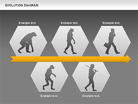 Diagram Evolusi, Slide 16, 00934, Bagan dan Diagram Pendidikan — PoweredTemplate.com