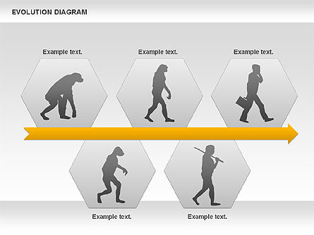 진화 다이어그램, 슬라이드 7, 00934, 교육 차트 및 도표 — PoweredTemplate.com