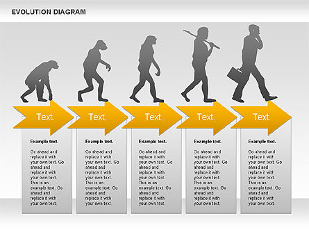 진화 다이어그램, 슬라이드 8, 00934, 교육 차트 및 도표 — PoweredTemplate.com