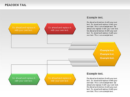 Peacock Tail Diagram, Slide 2, 01014, Business Models — PoweredTemplate.com