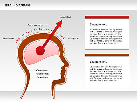 Diagramme du cerveau, Modele PowerPoint, 01122, Modèles commerciaux — PoweredTemplate.com