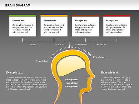 두뇌 다이어그램, 슬라이드 14, 01122, 비즈니스 모델 — PoweredTemplate.com