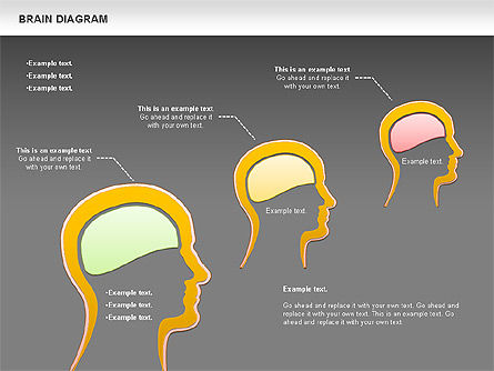 Diagramme du cerveau, Diapositive 15, 01122, Modèles commerciaux — PoweredTemplate.com