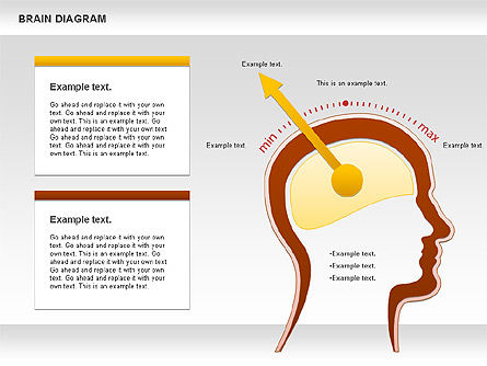 Brain Diagram, Slide 2, 01122, Business Models — PoweredTemplate.com