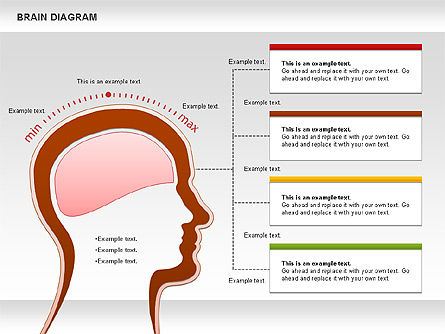 Diagramme du cerveau, Diapositive 5, 01122, Modèles commerciaux — PoweredTemplate.com