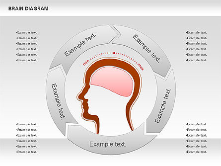 Diagramme du cerveau, Diapositive 8, 01122, Modèles commerciaux — PoweredTemplate.com