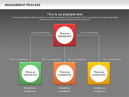 Schéma de gestion, Diapositive 13, 01130, Modèles commerciaux — PoweredTemplate.com