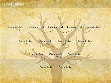 Root diagrama, Deslizar 5, 01168, Organogramas — PoweredTemplate.com