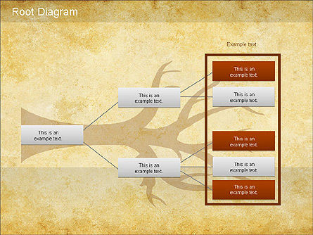Root diagrama, Deslizar 6, 01168, Organogramas — PoweredTemplate.com