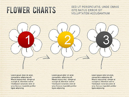Flower gráfico, Deslizar 6, 01229, Gráficos circulares — PoweredTemplate.com