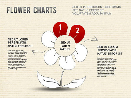 Bloem grafiek, Dia 7, 01229, Cirkeldiagram — PoweredTemplate.com