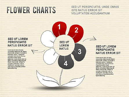 Flower Chart, Slide 8, 01229, Pie Charts — PoweredTemplate.com