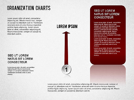 Organigramme, Diapositive 10, 01327, Graphiques organisationnels — PoweredTemplate.com