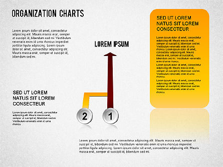 Organigramme, Diapositive 11, 01327, Graphiques organisationnels — PoweredTemplate.com