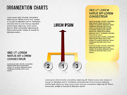 Organizational Chart, Slide 12, 01327, Organizational Charts — PoweredTemplate.com