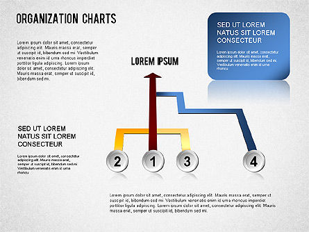 Organigramme, Diapositive 13, 01327, Graphiques organisationnels — PoweredTemplate.com