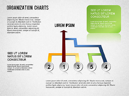 Organigramme, Diapositive 14, 01327, Graphiques organisationnels — PoweredTemplate.com