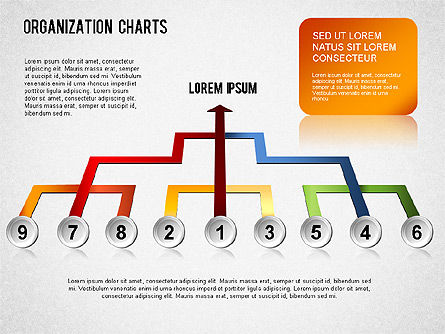 Organigramme, Diapositive 18, 01327, Graphiques organisationnels — PoweredTemplate.com