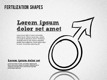 Fertilization Process Shapes, Free PowerPoint Template, 01436, Medical Diagrams and Charts — PoweredTemplate.com