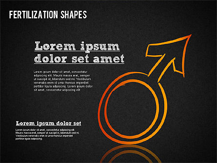Bentuk Proses Pemupukan, Slide 10, 01436, Bagan dan Diagram Medis — PoweredTemplate.com
