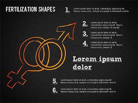 Formas del proceso de fertilización, Diapositiva 11, 01436, Diagramas y gráficos médicos — PoweredTemplate.com