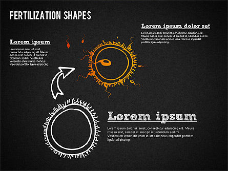 Forme processo di fecondazione, Slide 12, 01436, Diagrammi e Grafici Medici — PoweredTemplate.com