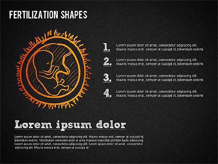 Formas del proceso de fertilización, Diapositiva 14, 01436, Diagramas y gráficos médicos — PoweredTemplate.com