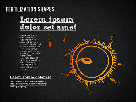 Bentuk Proses Pemupukan, Slide 16, 01436, Bagan dan Diagram Medis — PoweredTemplate.com
