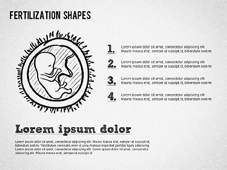 Formas del proceso de fertilización, Diapositiva 6, 01436, Diagramas y gráficos médicos — PoweredTemplate.com
