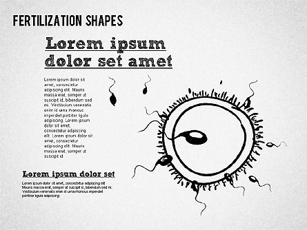 Formas del proceso de fertilización, Diapositiva 8, 01436, Diagramas y gráficos médicos — PoweredTemplate.com