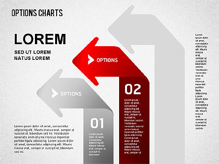 Optionen-Diagramm-Toolbox, Folie 2, 01454, Ablaufdiagramme — PoweredTemplate.com