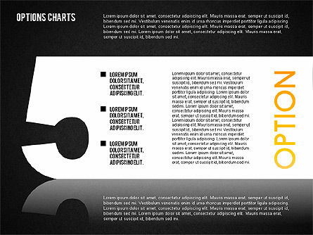 Chart Opzioni Toolbox, Slide 16, 01620, Diagrammi Palco — PoweredTemplate.com