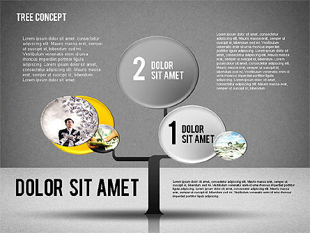 Concept d'arbre d'affaires, Diapositive 11, 01848, Schémas d'étapes — PoweredTemplate.com