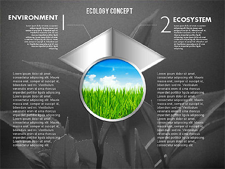 Etapas con el diagrama de la ecología de la foto, Diapositiva 10, 01882, Diagramas de la etapa — PoweredTemplate.com
