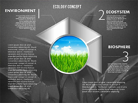 写真エコロジーダイアグラム付きステージ, スライド 11, 01882, 段階図 — PoweredTemplate.com